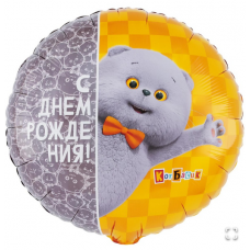  К 18" РУС ДР Кот Басик